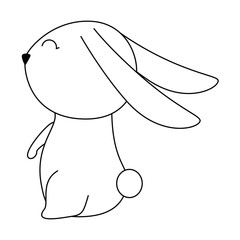 cute rabbit easter celebration vector illustration design