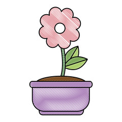 beautiful flowers in pot decorative vector illustration design