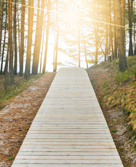 Wooden staircase as footpath is leading to bright and cloudy sky in pine forest. Concept of success, achievement, development, promotion or career. 