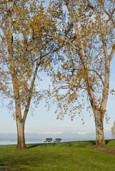 Obraz premium The Best Seats