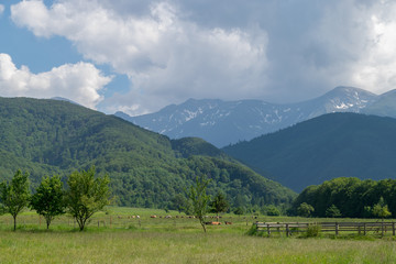 View to a mountain area with some animals resting nearby