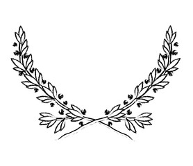 Fototapeta premium plant branch with leaves
