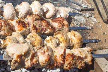 Skewers of meat and mushrooms on a picnic