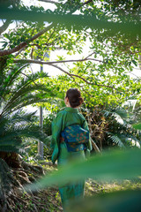 奄美大島　緑の大島紬