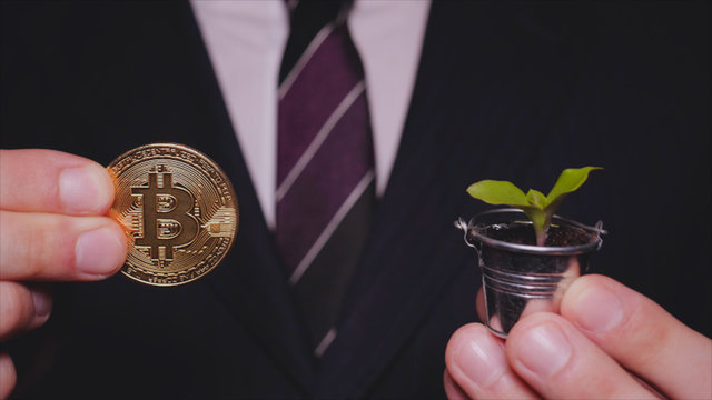 A Businessman In A Suit Holds In His Hand A Gold Bitcoin And A Sprout In A Mini Bucket, A Crypto Currency, A Course.