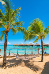 Fototapeta na wymiar Hammock between palm trees on the beach of a tropical island. 