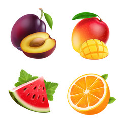 Fruits orange, plum, watermelon and mango set vector illustrations