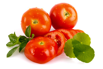 Tomatos slides with herbs isolated on white background, top view