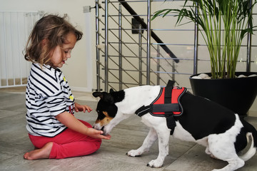 Little girl is feeding dog with hands