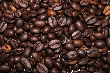 Teppich Hintergrund aus gerösteten brauen Kaffeebohnen