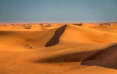 Fototapeta na wymiar Desert sunset exposure near Dubai, United Arab Emirates