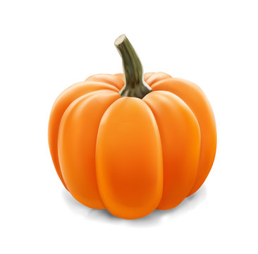 Realistic vector pumpkin isolated on white background. Hyperrealism gradient mesh illustration. 3d game icon