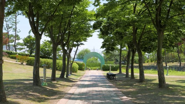 walkway and trees along the way in a park in Korea