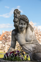 Obraz premium A stone sculpture of a woman on the background of a blooming magnolia at the Bruhl Palace in Brody. Poland