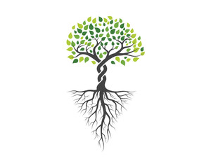 Tree With Roots Vector Photos Royalty Free Images Graphics Vectors Videos Adobe Stock