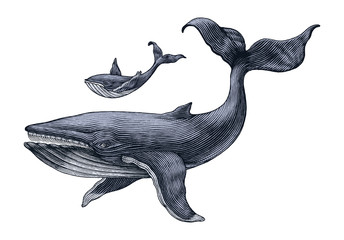 Obraz premium Wielki wieloryb i mały rysunek ręka wieloryba vintage Grawerowanie