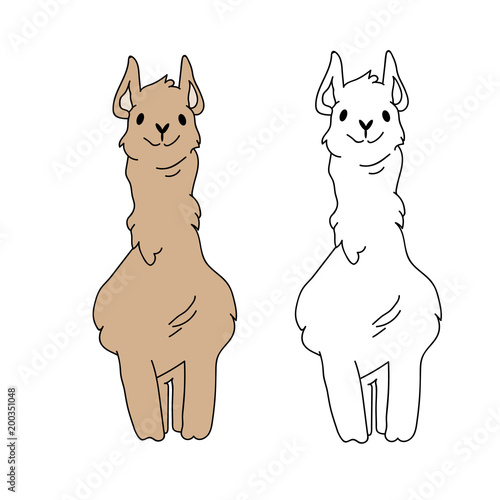 "lama coloring is simple for children" stock photo and