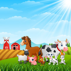 Obraz na płótnie Canvas Cute animals in the farm