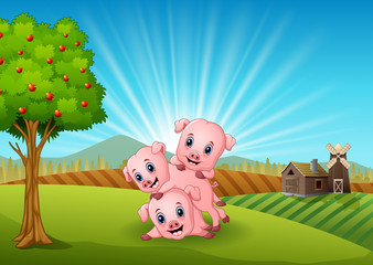 Three little pig playing in the farm