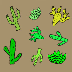 A set of cacti. Creative baby cactus texture