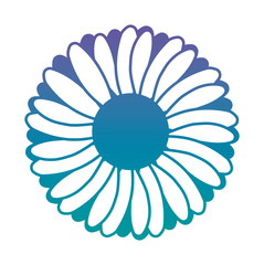 cute sunflower flower decorative icon