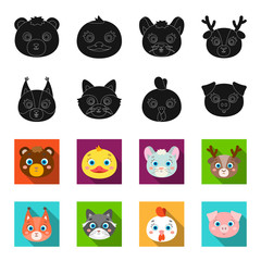 Protein, raccoon, chicken, pig. Animal muzzle set collection icons in black,flet style vector symbol stock illustration web. © pandavector