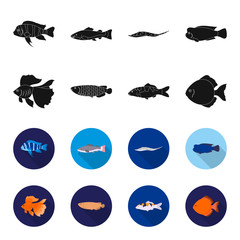 Discus, gold, carp, koi, scleropages, fotmosus.Fish set collection icons in black,flet style vector symbol stock illustration web. © pandavector