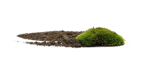Fototapeta premium Green moss with dirt pile isolated on white background