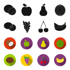 Kiwi, grapes, cherry, banana.Fruits set collection icons in black,flet style vector symbol stock illustration web. © pandavector