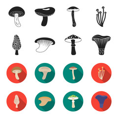 Morel, oyster, green amanita, actarius indigo.Mushroom set collection icons in black,flet style vector symbol stock illustration web. © pandavector