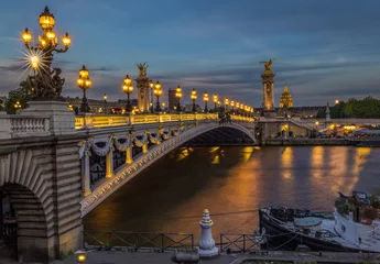 Papier Peint photo autocollant Pont Alexandre III Paris evening at Alexender bridge