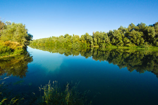 Riverbank of calm Danube river with green trees in spring or summer and clear sky at sunset