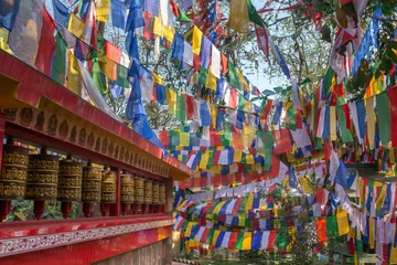 Papier Peint photo Temple Tibetan buddhist flags and praying wheels in Darjeeling, India