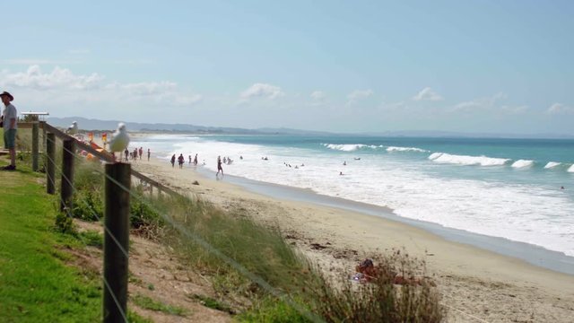 Wide Shot Of New Zealand Beach With Man Kicking Rugby Ball