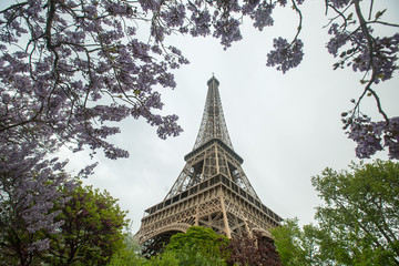 Paris tower eiffel landmark cityscape historic architecture of Europe.