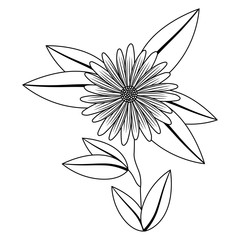 cute sunflower flower with leafs decorative