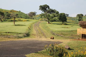 Ethiopia