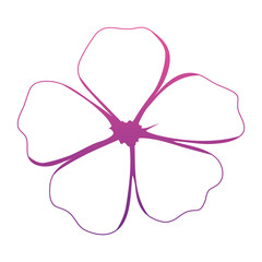 cute lily flower decorative icon