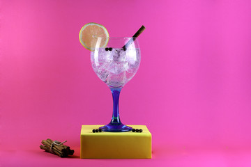 Fototapeta na wymiar gin tonic with peppercorns and cinnamon on pink