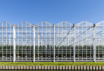 Glass Houses in Holland