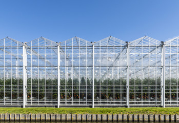 Fototapeta premium Glass Houses in Holland