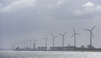 Fototapeta premium Wind Mills Hoek van Holland