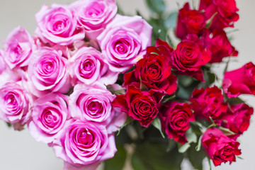 pink and red rose