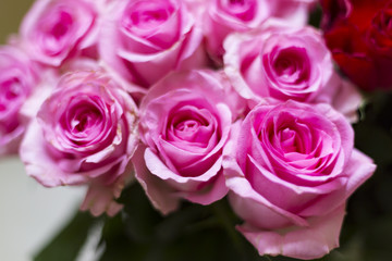 pink roses bouquet