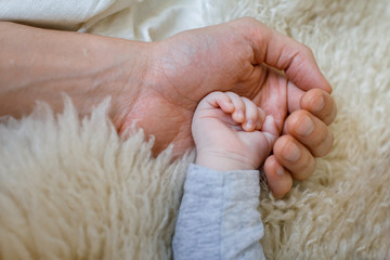 little baby hand with father's hand