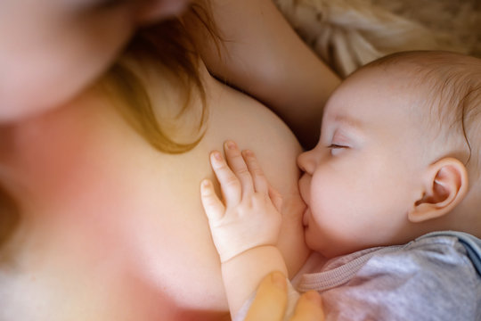 a young mother feeds the baby. breast feeding. health. food. immunity