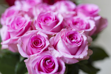 Fototapeta na wymiar pink roses bouquet