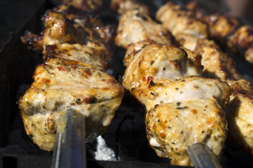 Meat in spices cooking on a fire outdoor. Barbecue background.