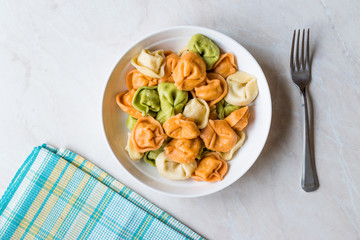 Tri Colored Tortellini Pasta / Multicolor or Colorful