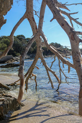 vacances d'été mer